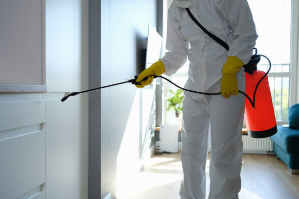 Best Preventive Mold Services in Broadmoor, CA