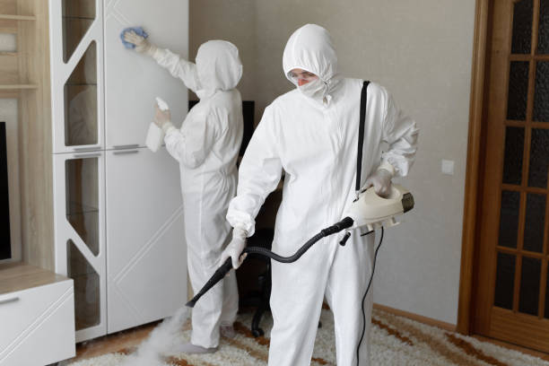 Best Industrial Mold Remediation in Broadmoor, CA