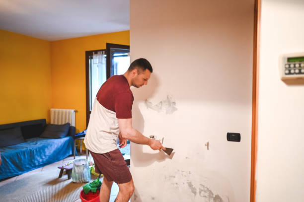 Best Kitchen Mold Remediation in Broadmoor, CA