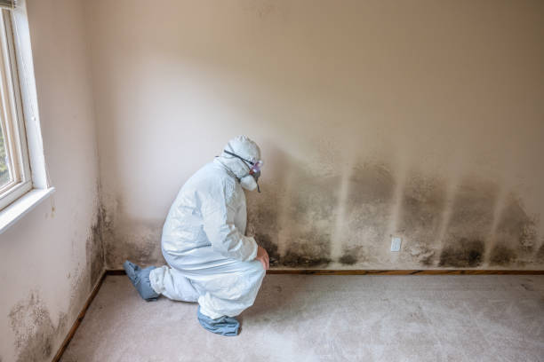 Best Bathroom Mold Remediation in Broadmoor, CA