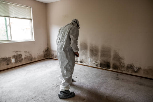 Best Residential Mold Remediation in Broadmoor, CA